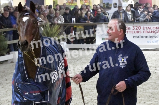SALON DU TROT EN NORMANDIE