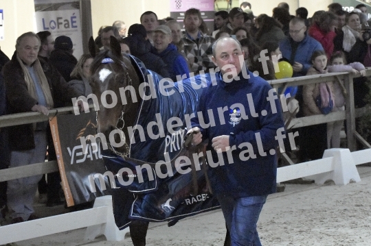 SALON DU TROT EN NORMANDIE