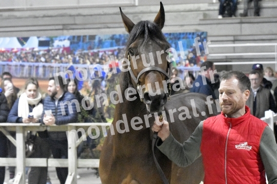 SALON DU TROT EN NORMANDIE