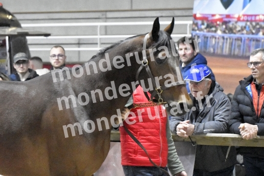 SALON DU TROT EN NORMANDIE