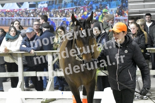 SALON DU TROT EN NORMANDIE