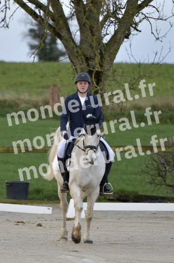 Equitation (125)