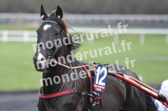 95e Prix d_qt_Amerique Opodo