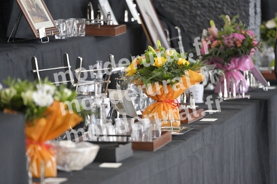 A.G. DE LA SOCIETE DU CHEVAL ANGLO-NORMAND 2025