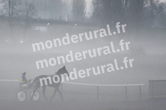 BROUILLARD A LA PRAIRIE