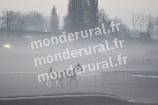 BROUILLARD A LA PRAIRIE