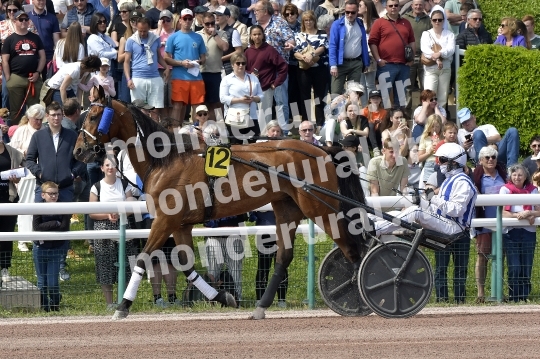 CAEN - JOURNEE DES DUCS 2026