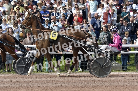 CAEN - JOURNEE DES DUCS 2026