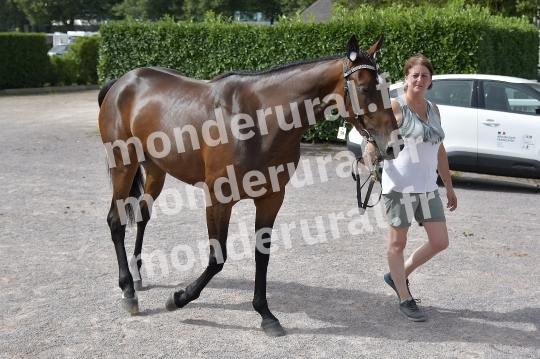 CONCOURS REGIONAL DE SELECTION