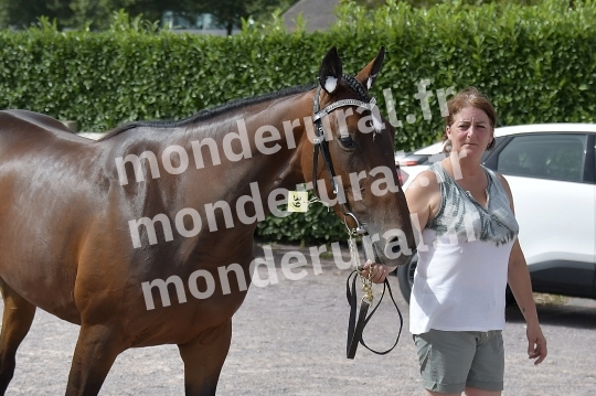 CONCOURS REGIONAL DE SELECTION