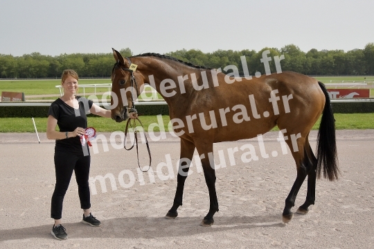 CONCOURS REGIONAL DE SELECTION