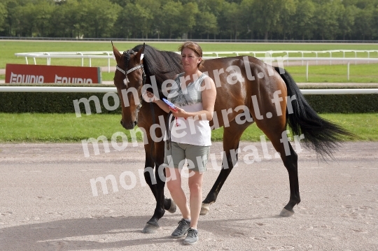 CONCOURS REGIONAL DE SELECTION