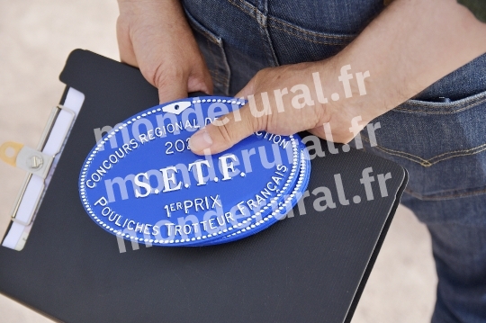 CONCOURS REGIONAL DE SELECTION