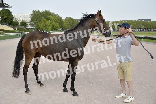 CONCOURS REGIONAL DE SELECTION