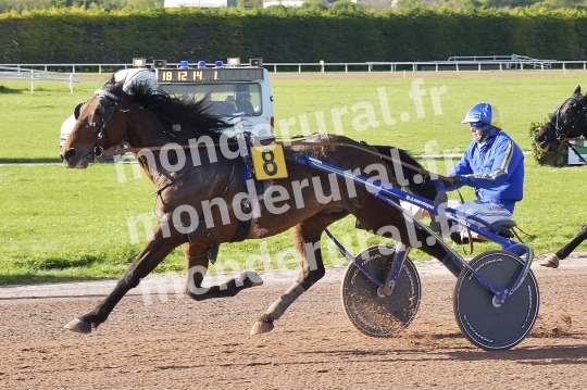 COURSES A ARGENTAN - 15 AVRIL 2024