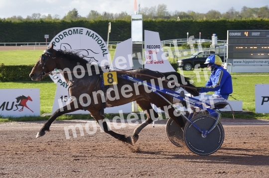 COURSES A ARGENTAN - 15 AVRIL 2024