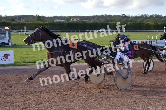 COURSES A ARGENTAN - 15 AVRIL 2024
