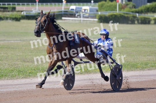 COURSES A ARGENTAN 10-08-2024