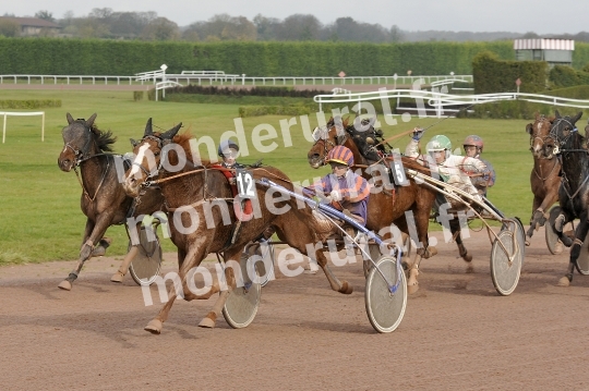 Courses a Argentan du 8 novembre 2015