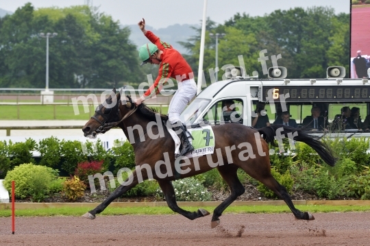COURSES A CABOURG - 01 JUIN 2024