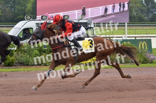 COURSES A CABOURG - 01 JUIN 2024