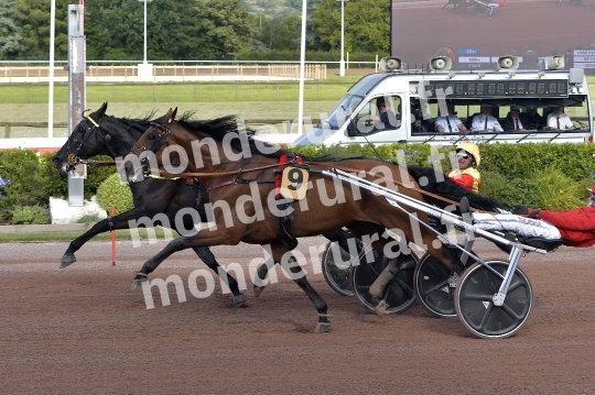 COURSES A CABOURG - 01-08-2025