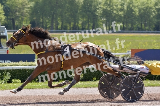 COURSES A CAEN - 10 MAI 2025