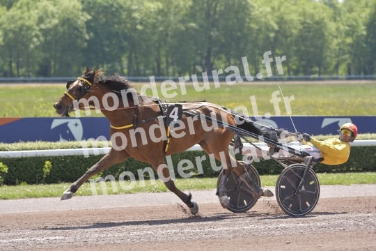 COURSES A CAEN - 10 MAI 2025