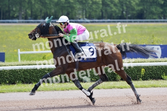 COURSES A CAEN - 10 MAI 2025