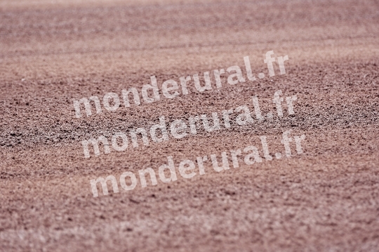 COURSES A CAEN - 11 MAI 2024