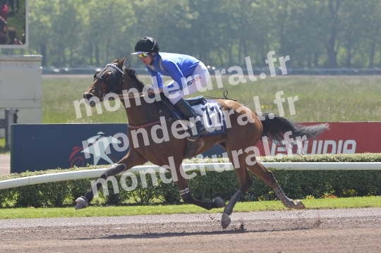 COURSES A CAEN - 11 MAI 2024