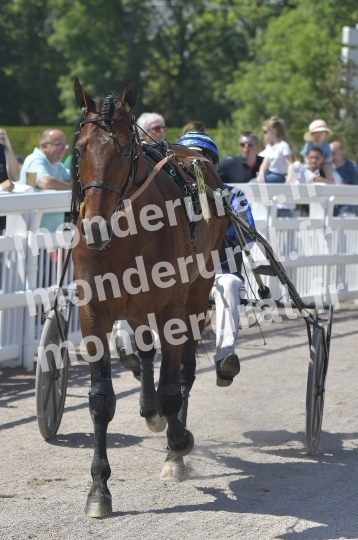 COURSES A CAEN - 11 MAI 2024