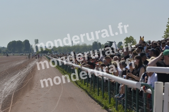 COURSES A CAEN - 11 MAI 2024