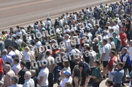 COURSES A CAEN - 11 MAI 2024