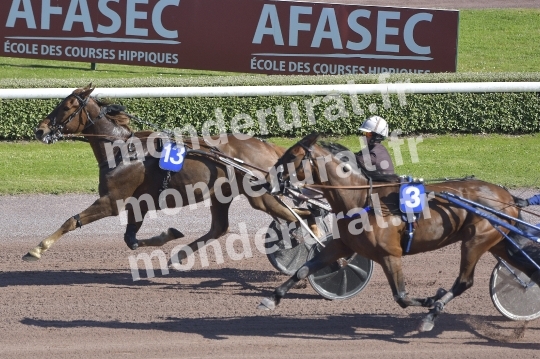 COURSES A CAEN - 11 MAI 2024