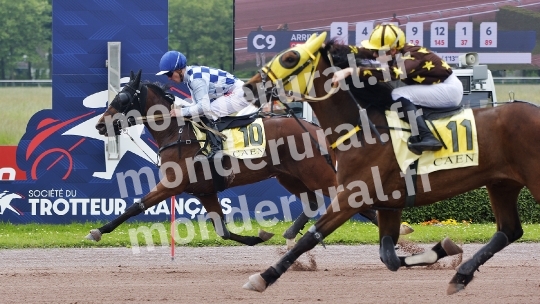 COURSES A CAEN - 18 MAI 2024