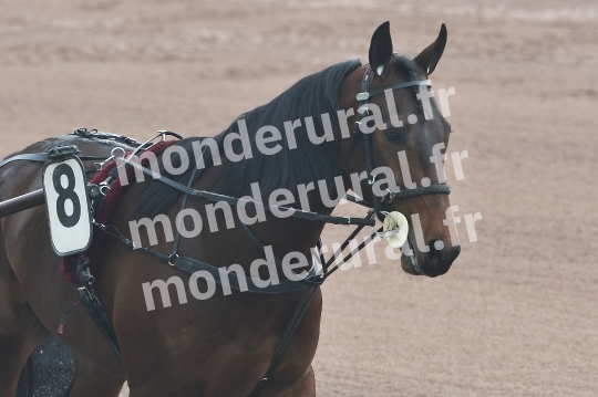 COURSES A CAEN - 26-03-2025