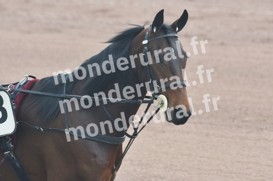 COURSES A CAEN - 26-03-2025