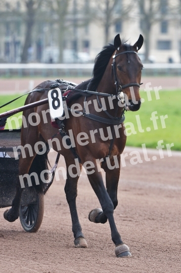 COURSES A CAEN - 26-03-2025