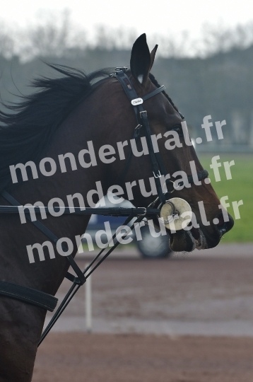 COURSES A CAEN - 26-03-2025