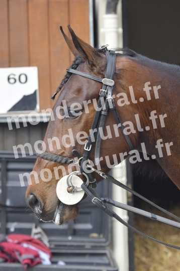 COURSES A CAEN - 26-03-2025