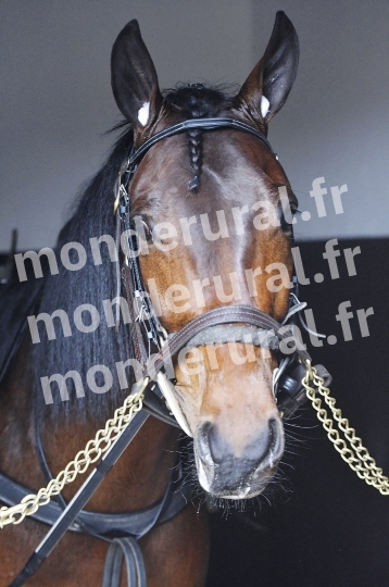 COURSES A CAEN - 26-03-2025