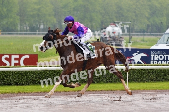 COURSES A CAEN - 27 AVRIL 2024