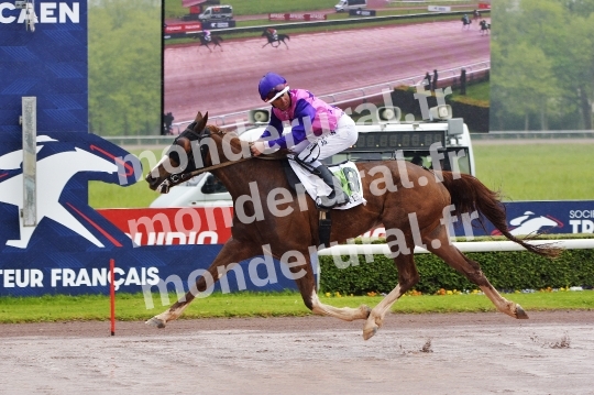 COURSES A CAEN - 27 AVRIL 2024