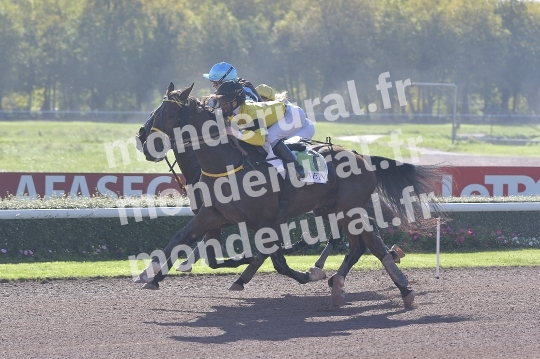 COURSES A CAEN (23/10/2022)