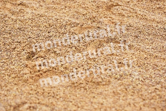 COURSES A CHERBOURG - 25-09-2024