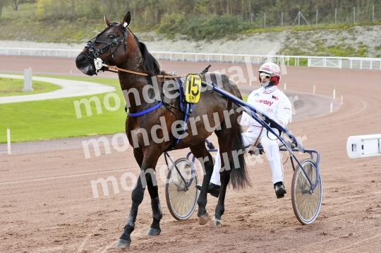 Courses a Mauquenchy du mercredi 18 novembre 2015