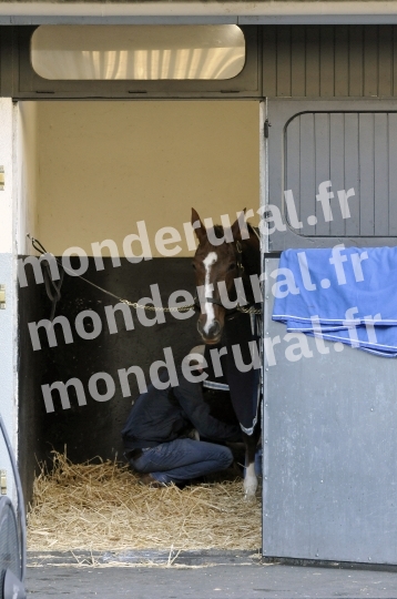 Courses a Vincennes du samedi 26 décembre 2015