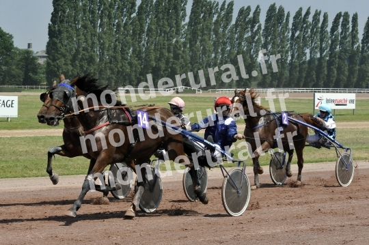 Courses a Vire-Normandie du 20 juillet 2016