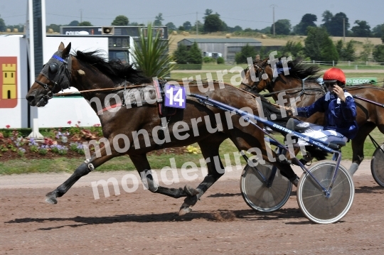 Courses a Vire-Normandie du 20 juillet 2016